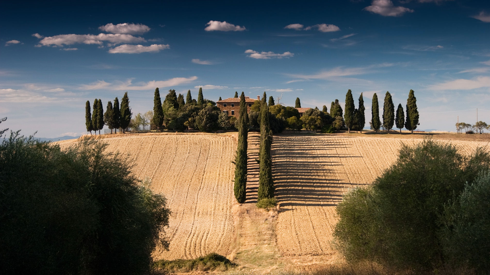 Contatti